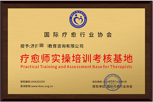 授权合作机构31